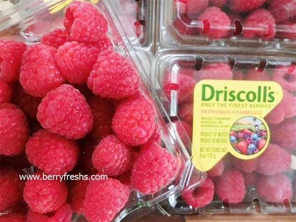 ราสเบอรี่อเมริกา blueberry ยี่ห้อDriscolls ขนาดแพ็ค 170กรัม | mixberry - คันนายาว กรุงเทพมหานคร