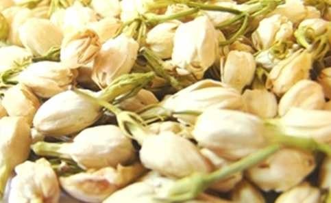 ชาดอกมะลิ Jasmine Tea | ไบโอคอนซูมเมอ โปรดักซ์ - ดอนเมือง กรุงเทพมหานคร