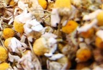 ชาดอกคาโมมายล์ Chamomile Tea | ไบโอคอนซูมเมอ โปรดักซ์ - ดอนเมือง กรุงเทพมหานคร