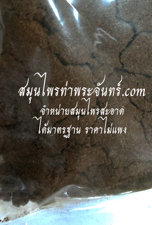 มะขาม (เนื้อ) | สมุนไพรท่าพระจันทร์ -  กรุงเทพมหานคร