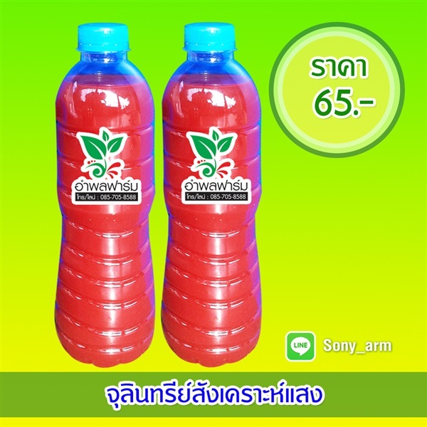 จุลิทรีย์สังเคราะห์แสง | อำพลฟาร์ม - แม่เมาะ ลำปาง