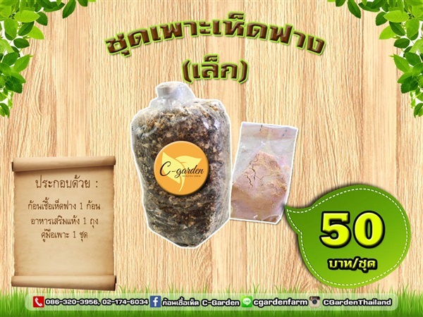 ชุดเพาะเห็ดฟางเล็ก | C-Garden Farm - บางพลี สมุทรปราการ