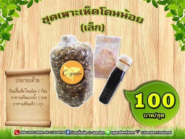 ชุดเพาะเห็ดโคนน้อยเล็ก | C-Garden Farm - บางพลี สมุทรปราการ