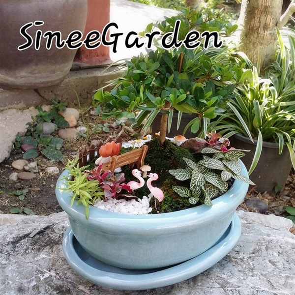 สวนถาด | SineeGarden - บางบัวทอง นนทบุรี