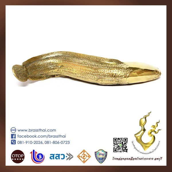ปลาช่อนทองเหลือง ราคาถูก | โรงหล่อทองเหลืองบ้านท่ากระยาง ลพบุรี - เมืองลพบุรี ลพบุรี