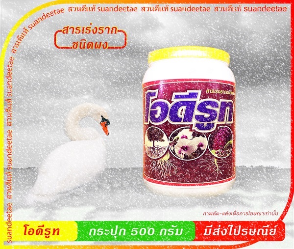 สารเร่งราก/ชนิดผง | สวนดีแท้ - พระโขนง กรุงเทพมหานคร