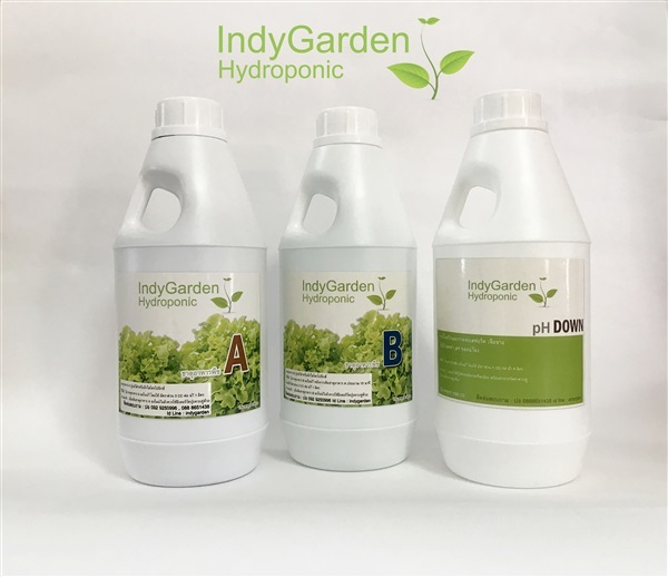 ชุดปุ๋ยสำหรับปลูกผักไฮโดรโปนิกส์ (ปุ๋ย AB) | IndyGarden Hydroponic - บางกรวย นนทบุรี