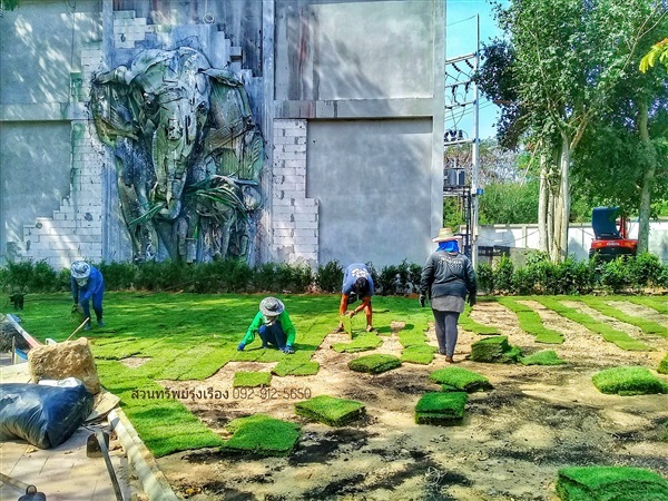 รับงานออกแบบ จัดสวน งานปูหญ้าสนาม ชลบุรี | สวนทรัพย์รุ่งเรือง - ศรีราชา ชลบุรี