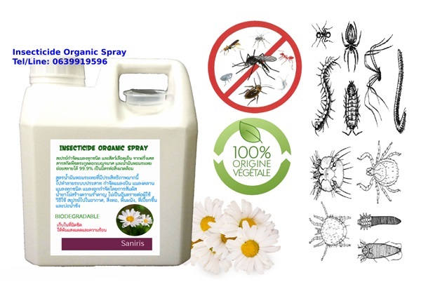 สเปรย์กำจัดแมลง สัตว์เลือดเย็น ปลอดสารพิษ Insecticide 1 ลิตร | Eco Fresh -  กรุงเทพมหานคร