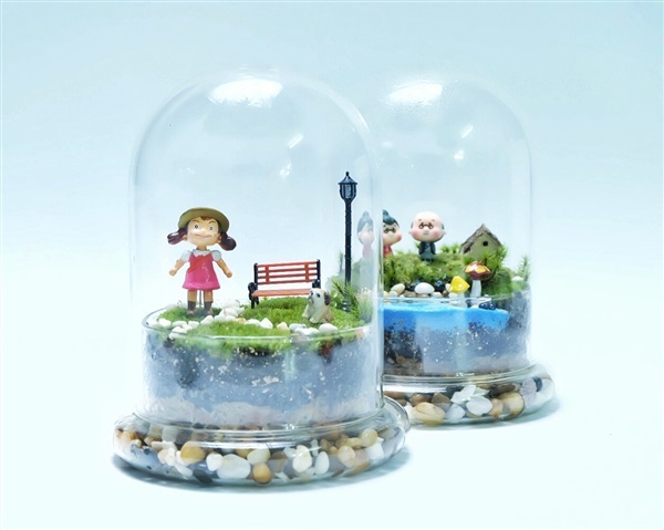 ชุดจัดโดมแก้ว | tiny world - หางดง เชียงใหม่