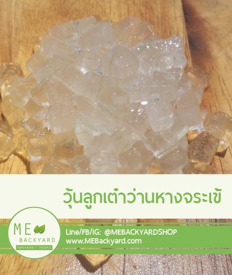 วุ้นลูกเต๋าว่านหางจระเข้ (100 กรัม) | Mebackyard -  สมุทรสาคร