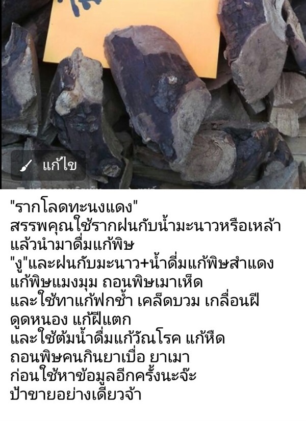 โลดทะนงแดง