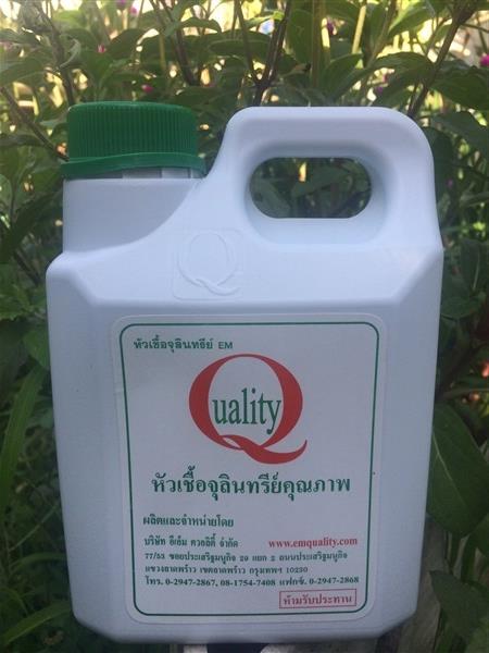 หัวเชื้อจุลินทรีย์ EM Quality 1 ลิตร | สวนผักบ้านพ่อ - เมืองสมุทรปราการ สมุทรปราการ