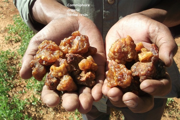 มดยอบ เม็ดมดยอบ แท้ 100% จากประเทศโซมาเลีย 50g. | FragrantWood - คันนายาว กรุงเทพมหานคร