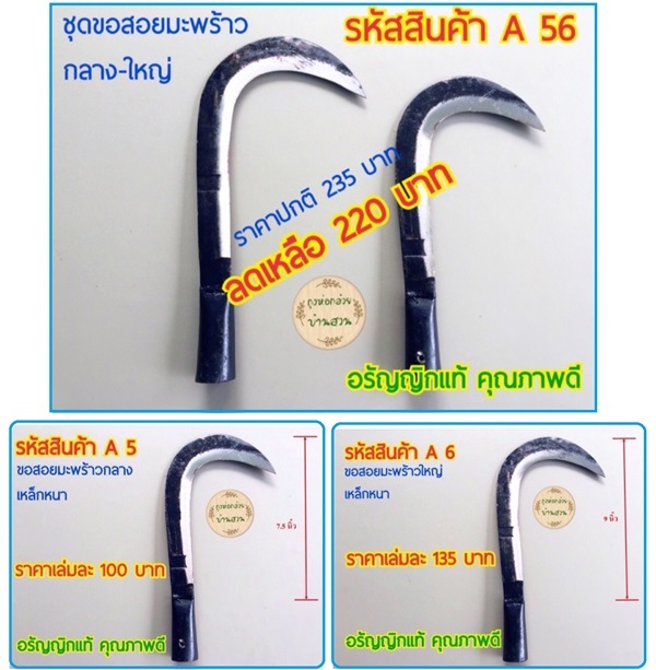 ขอสอยมะพร้าว | bagforbanana - เมืองระยอง ระยอง