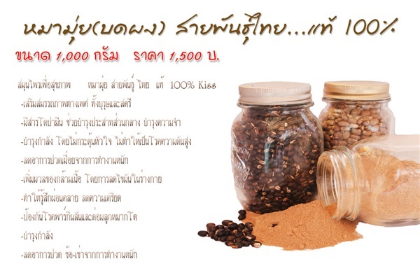 หมามุ่ยบด | ไร่แสงประเทือง - ด่านช้าง สุพรรณบุรี