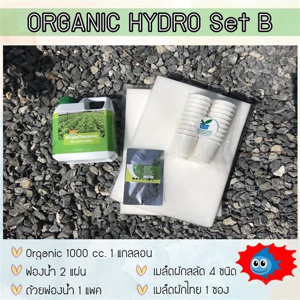 ชุดปลูกไฮโดรโปนิกส์ Organic Set B | hydrohobby -  กรุงเทพมหานคร