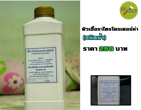 หัวเชื้อราไตรโครเดอร์ม่า (ชนิดน้ำ)  | สินค้าดี เกษตรพอเพียง  - เมืองนครสวรรค์ นครสวรรค์