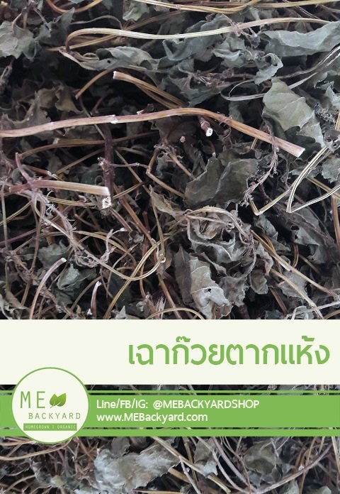 เฉาก๊วยตากแห้ง (100 กรัม) | Mebackyard -  สมุทรสาคร