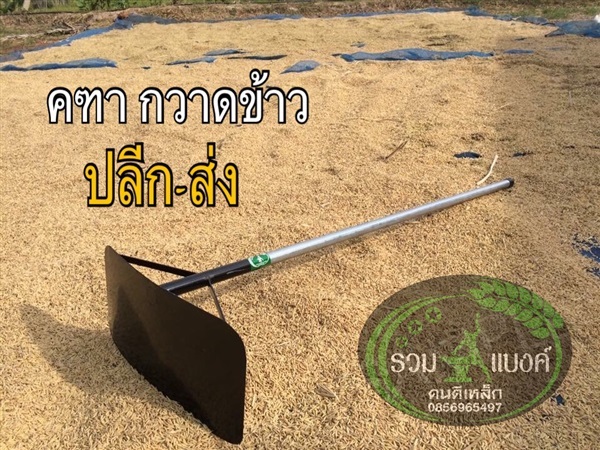 คทา กวาดข้าว | รวมแบงค์การเกษตร - เมืองสกลนคร สกลนคร