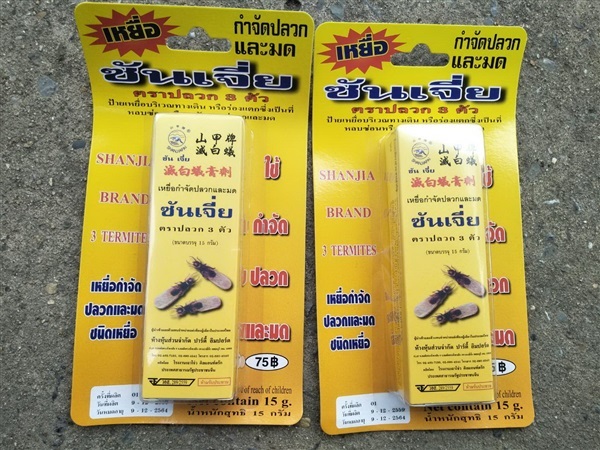 ซันเจีย ตราปลวก 3 ตัว ชนิดแบบครีม | ไม้ม่วนสวนสวย - ดอนเมือง กรุงเทพมหานคร