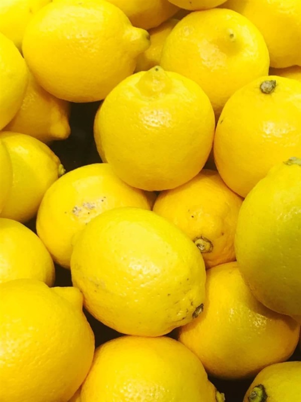 เลมอน มะนาวเหลือง Lemon