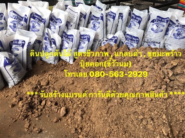 ปุ๋ยคอก (ขี้วัวนม จากฟาร์มโคนม 100% /โคราช) | โรงดิน เจริญผล - ธัญบุรี ปทุมธานี