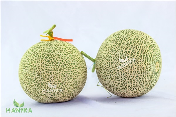 เมล่อนญี่ปุ่น/เกาหลี นำเข้า melon