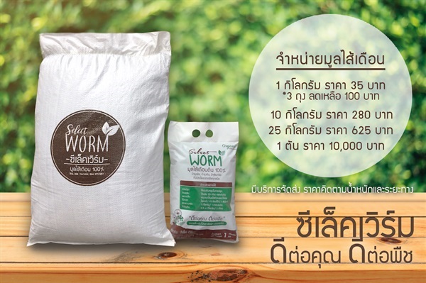 มูลไส้เดือนแท้ 100% | Select worm - ศรีประจันต์ สุพรรณบุรี