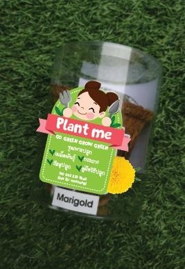 Plant me ชุดพร้อมปลูก | ชุดพร้อมปลูก ดอกไม้ -  สมุทรสาคร