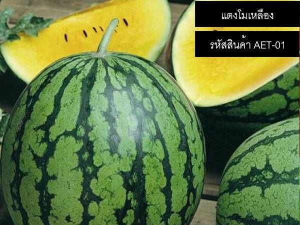 เมล็ดพันธุ์แตงโมเหลือง(จำหน่ายเมล็ดพันธุ์คุณภาพดี)