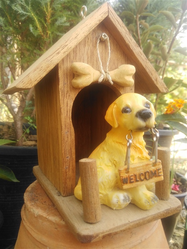 บ้านนก สุนัข welcome | BH Eazy Graden - เมืองสุพรรณบุรี สุพรรณบุรี