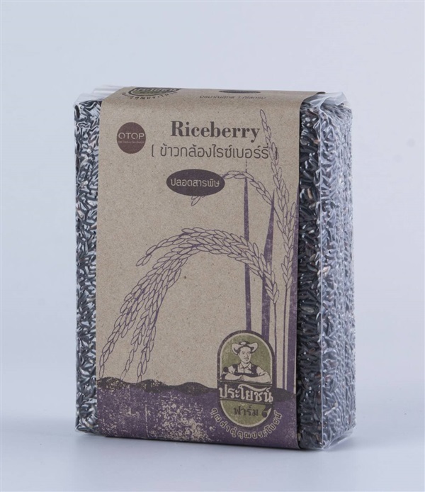 ข้าวกล้องไรซเบอร์รี Rice berry  | ประโยชน์ฟาร์ม - บ้านโป่ง ราชบุรี