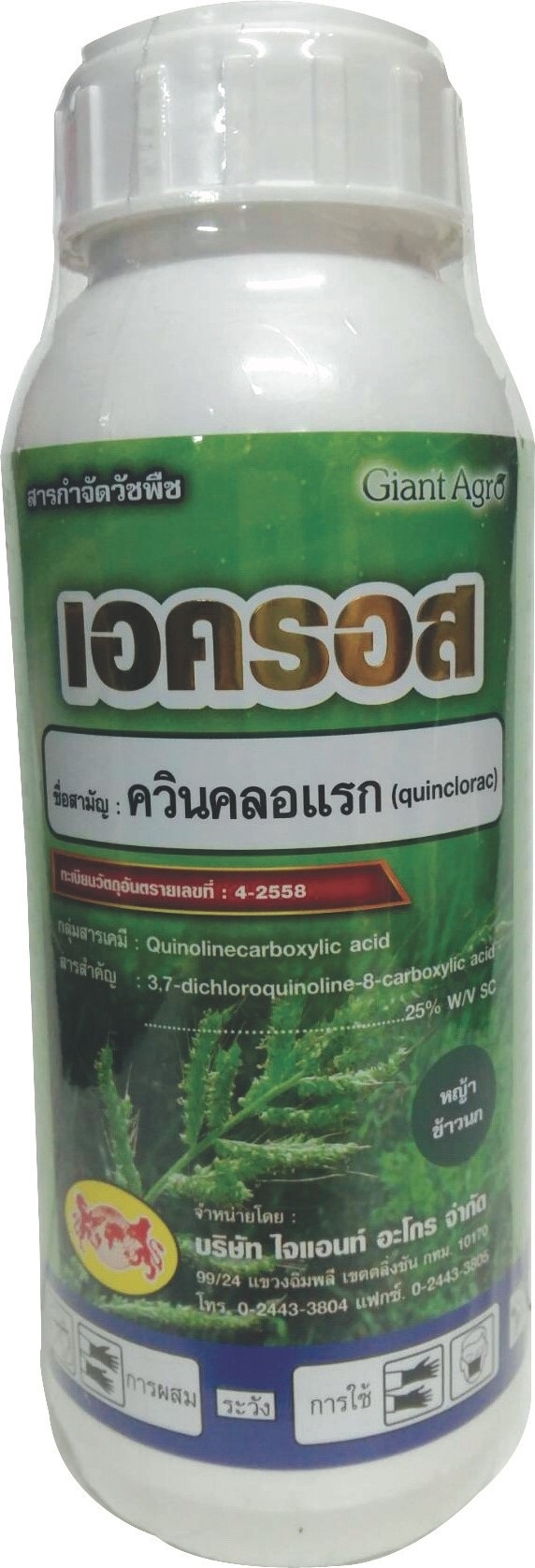 เอครอส:ควินคลอแรก 25%