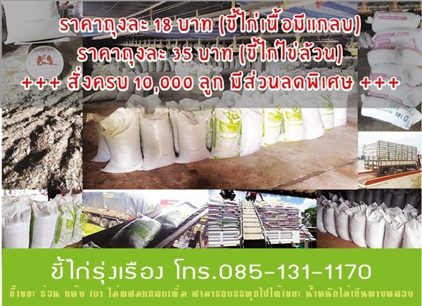 ขี้ไก่แกลบ 18 บาท/ขี้ไก่ล้วน 35 บาท ครบ 10000 ถุง ราคาพิเศษ | ขี้ไก่รุ่งเรือง - เมืองพิจิตร พิจิตร