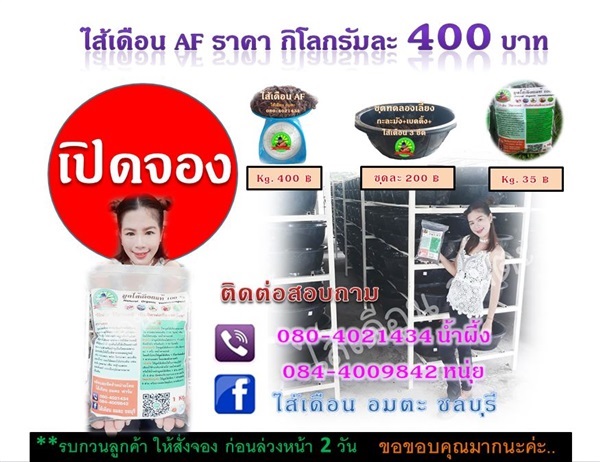 ไส้เดือน AF แท้ 100 % | ฟาร์มไส้เดือน อมตะ - พานทอง ชลบุรี