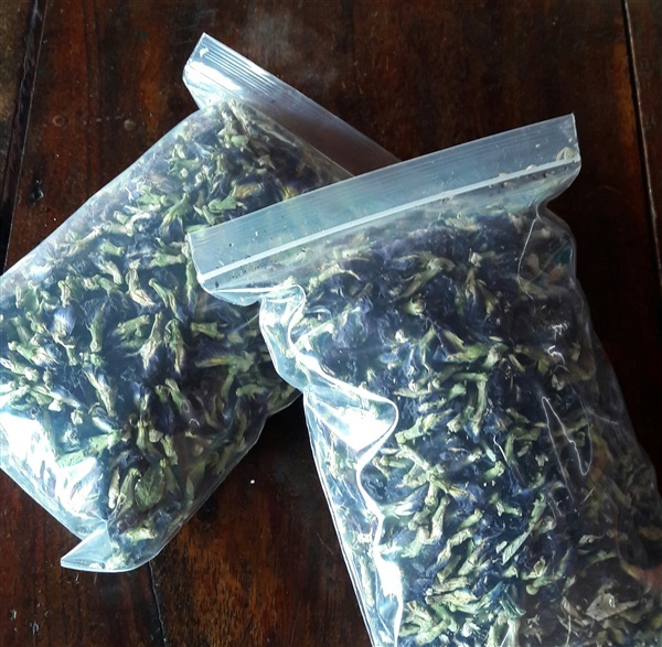 ดอกอัญชัน, ดอกอัญชัญแห้ง, butterfly pea planth for sale