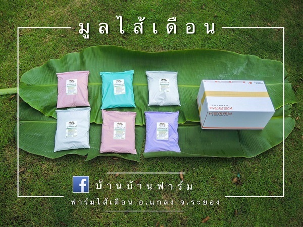 มูลไส้เดือน | บ้านฟาร์มไส้เดือน : ระยอง - แกลง ระยอง