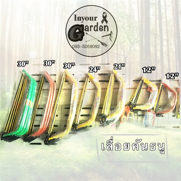 เลื่อยคันธนู | inyourgarden - เมืองสกลนคร สกลนคร