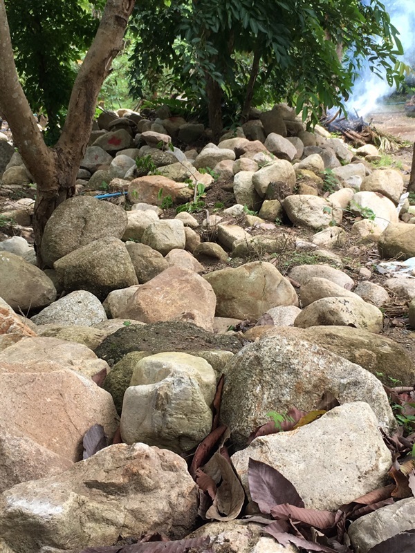 ก้อนหินจัดสวน | สวนแสนปัญญา1 - แม่ออน เชียงใหม่