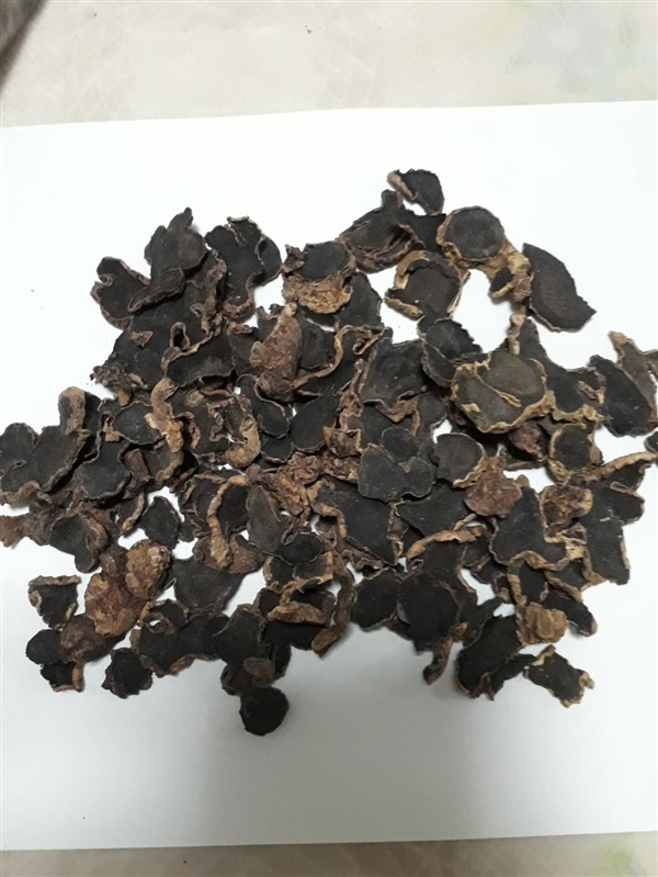 กระชายดำอบแห้ง กระชายดำสด ส่งออก Dried Black Ginger