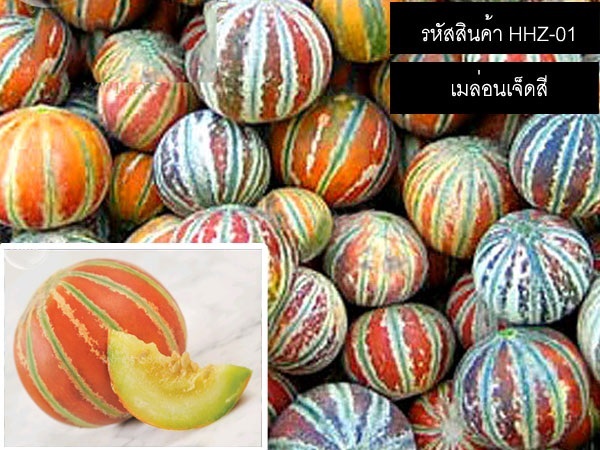 เมล็ดพันธุ์เมล่อนหวานเจ็ดสี(จำหน่ายเมล็ดพันธุ์นำเข้าคุณภาพดี