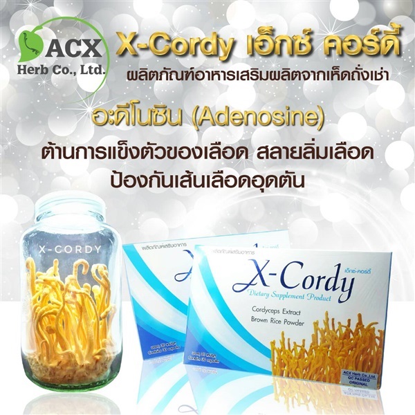 X-cordy  | ถังเช่า เพื่อสุขภาพ - เมืองชลบุรี ชลบุรี