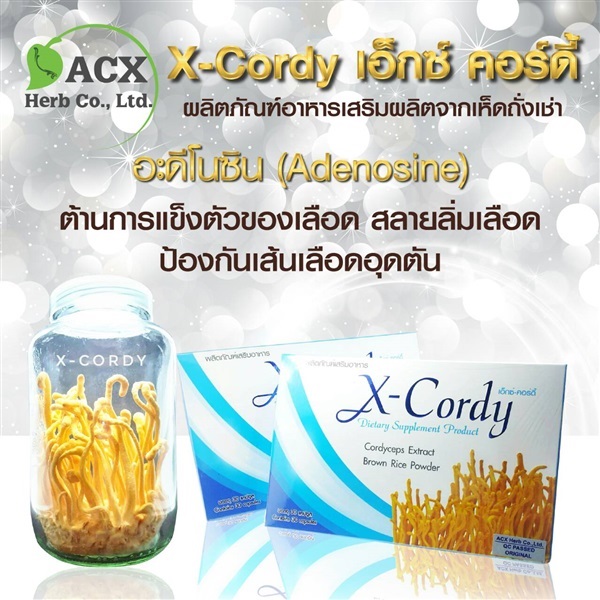 X-cordy 