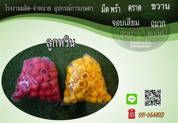 ลูกหวิน | รวมแบงค์การเกษตร - เมืองสกลนคร สกลนคร