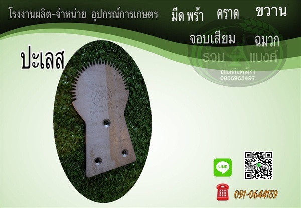 ปะเลส ขูดมะพร้าว | รวมแบงค์การเกษตร - เมืองสกลนคร สกลนคร