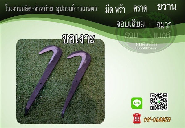 ขอเงาะ | รวมแบงค์การเกษตร - เมืองสกลนคร สกลนคร