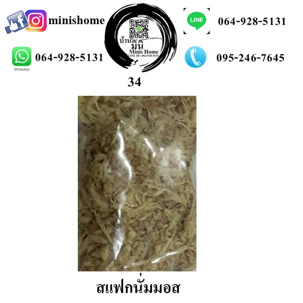 สแฟกนั่มมอส | บ้านมินิ - หนองเสือ ปทุมธานี