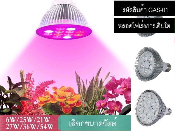 จำหน่ายหลอดไฟเร่งการเติบโต พืช/ผัก/ผลไม้/ดอกไม้ Grow Light