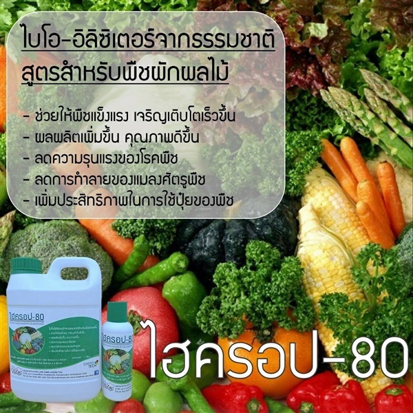 ไฮครอป-80 | โอลิแซ็ก เทคโนโลยี - คลองหลวง ปทุมธานี